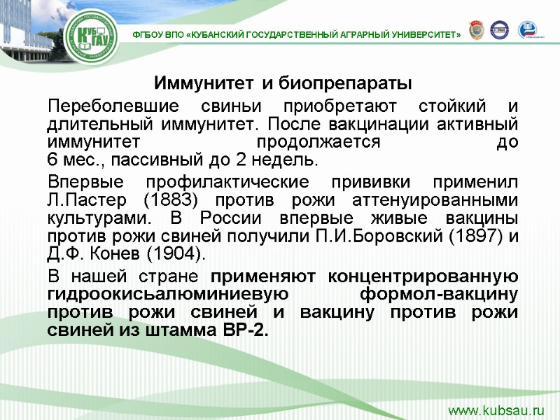 Иммунитет и биопрепараты Переболевшие свиньи приобретают стойкий и длительный иммунитет. После вакцинации активный иммунитет